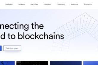 What is Chainlink? ​How It Works & Its Features 2024 Review
