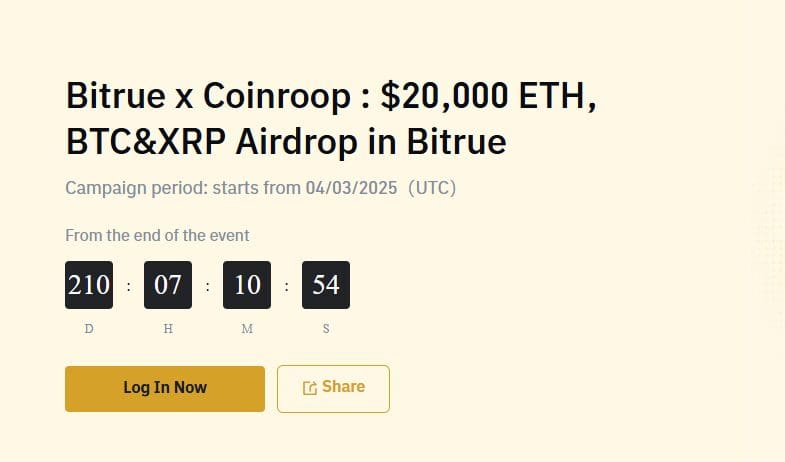 11 Best Crypto Exchange with Fiat Support 2 Bitrue Crypto Margin Trading Exchanges