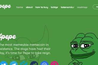 What is Pepe Coin? ​How It Works & Its Features 2024 Review