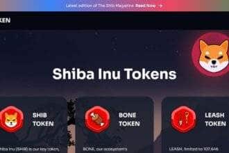 What Is Shiba Inu? And How Does it work? A Beginner's guide to SHIB