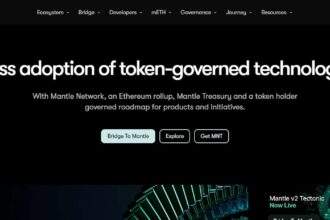 What is Mantle Coin? ​How It Works & Its Features 2024 Review
