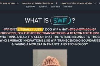 What is Dogwifhat? ​How It Works & Its Features 2024 Review