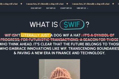 What is Dogwifhat? ​How It Works & Its Features 2024 Review