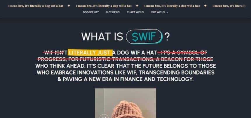 What is Dogwifhat? ​How It Works & Its Features 2024 Review