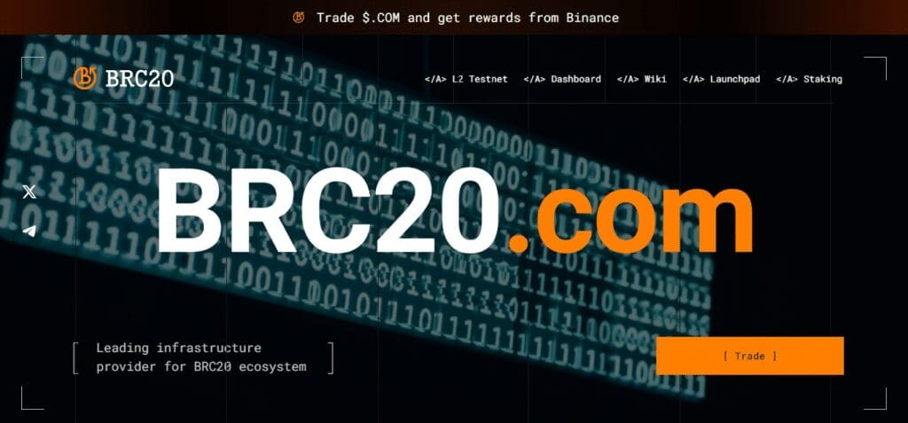 10 Best BRC-20 Tokens in 2024: I Picked Top BRC-20 Tokens 8 BRC20.com BRC-20 Tokens