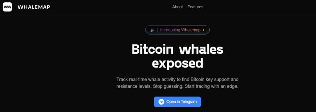 11 Best Crypto Whale Trackers: Track Large Transactions 11 WhaleMap