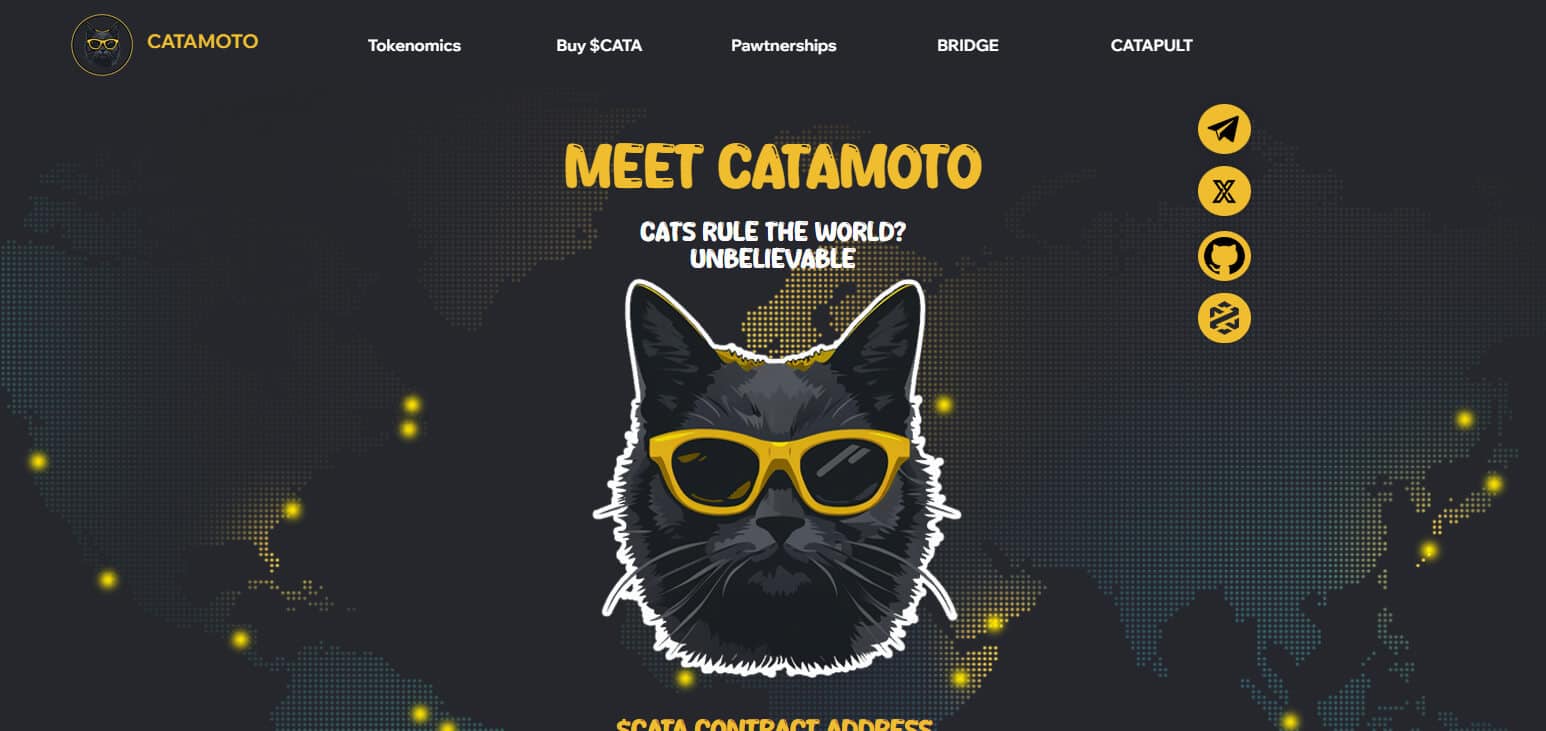What is Catamoto Coin? ​How It Works & Its Features 2024 Review