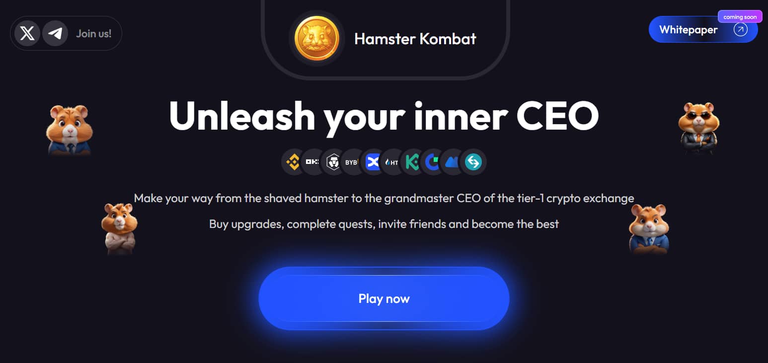What is Hamster Kombat? ​How It Works & Its Features 2024 Review