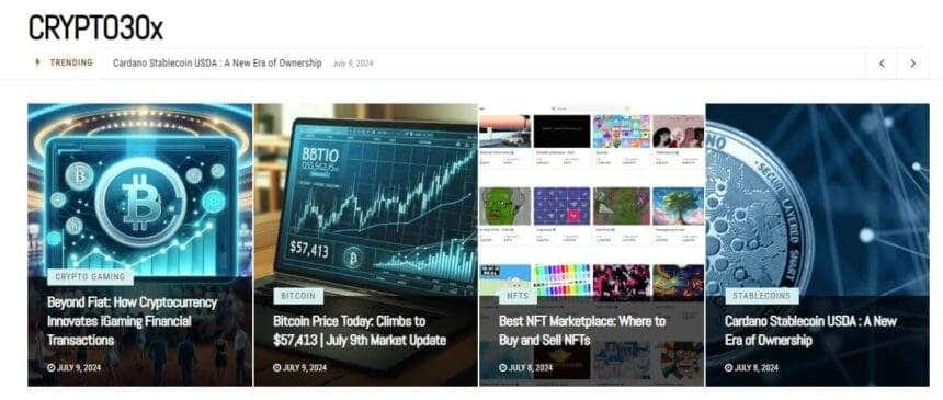 What is Crypto 30x? We Cover Everything About This Website