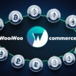 13 Best Crypto Plugins for WooCommerce