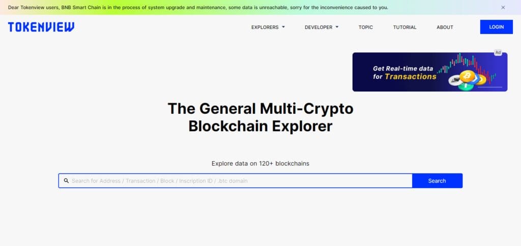 10 Best Blockchain Explorer In 2025 3 TokenView Blockchain Explorer