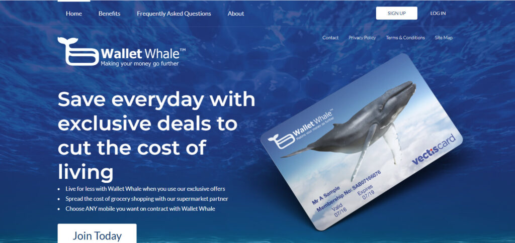 What is a Whale Wallet?