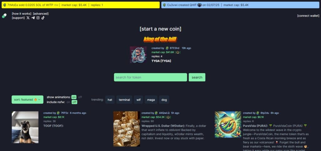How to Use Pump.Fun Crypto Platform 2 What Is Pump.fun?