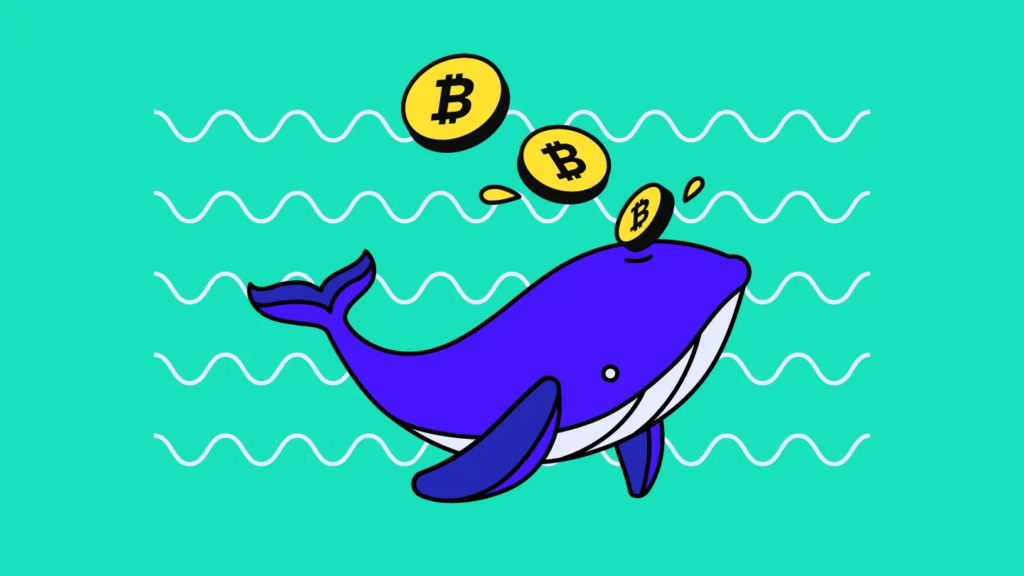 What is Crypto Whale?