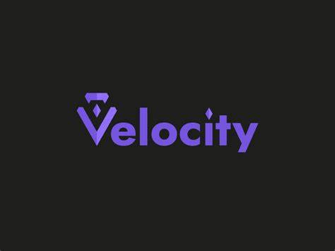 Observe Token Velocity