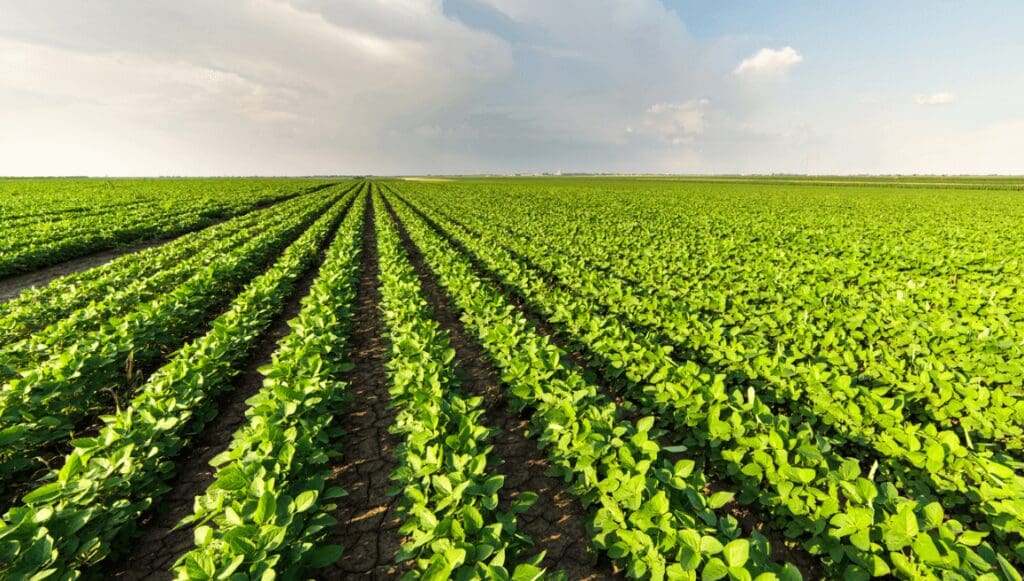 How to Earn Yield on Bitcoin | Best Strategies for Passive Income 4 Yield Farming Participation