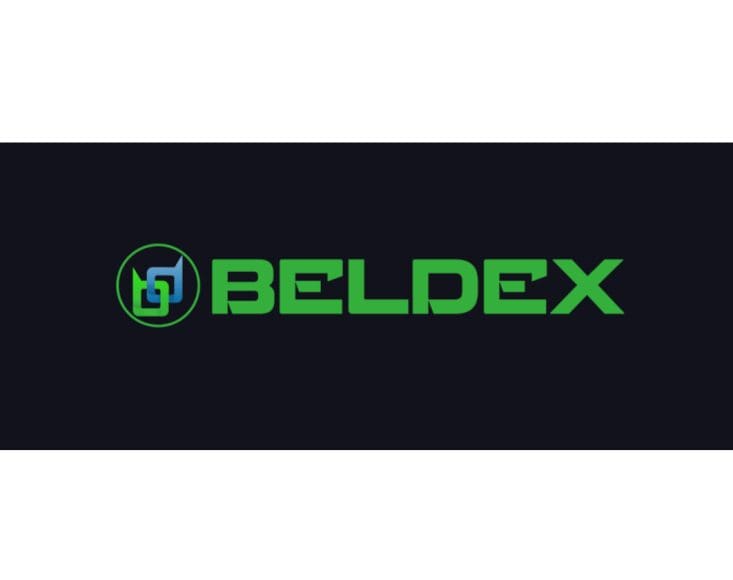 10 Top Privacy-Focused Blockchains: Enhance Your Security 8 Beldex (BDX)