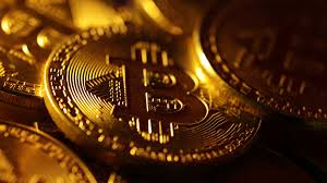 Corporate Interest in BTC Rises To An All-Time High