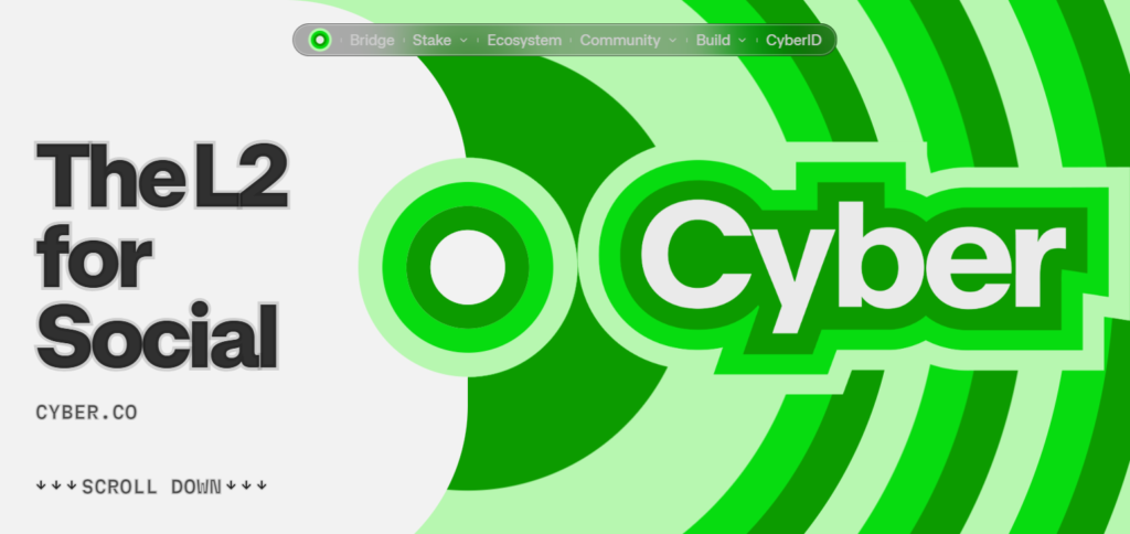 Cyber