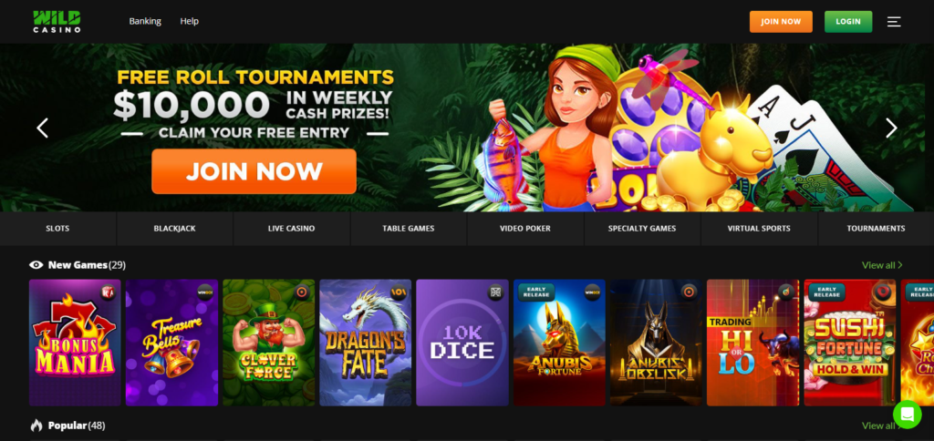 Wild Casino