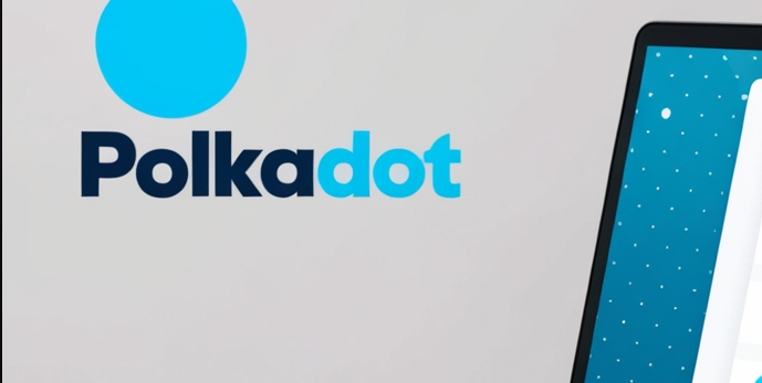 What is Polkadot Crowdloans?