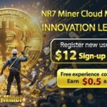 NR7 Miner
