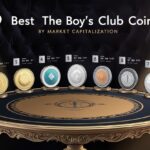 9 Best The Boy’s Club Coins By Market Cap