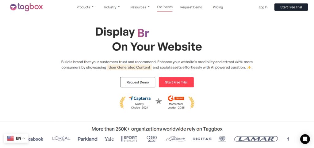 10 Best Social Media Aggregator Tools for 2026 4 Taggbox