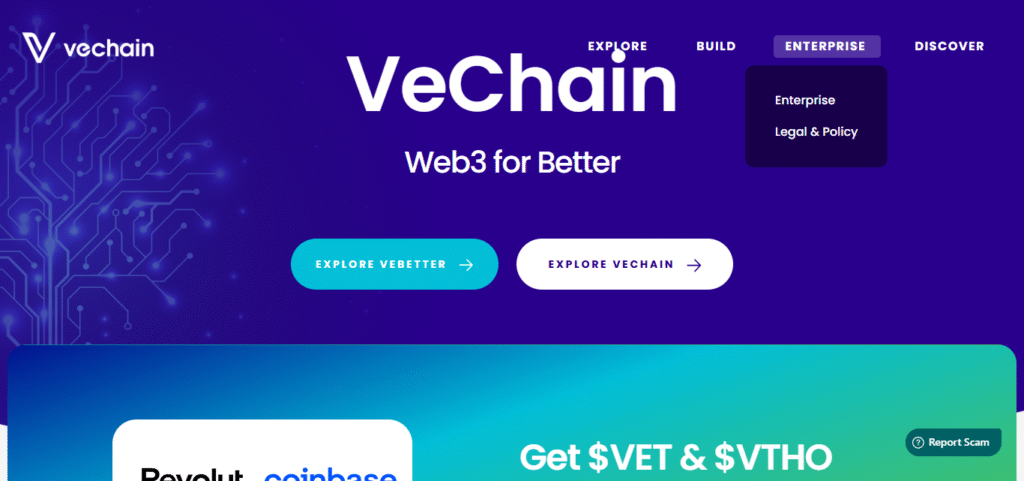 10 Best Undervalued Cryptos That Could Explode in 2025 2 VeChain (VET)
