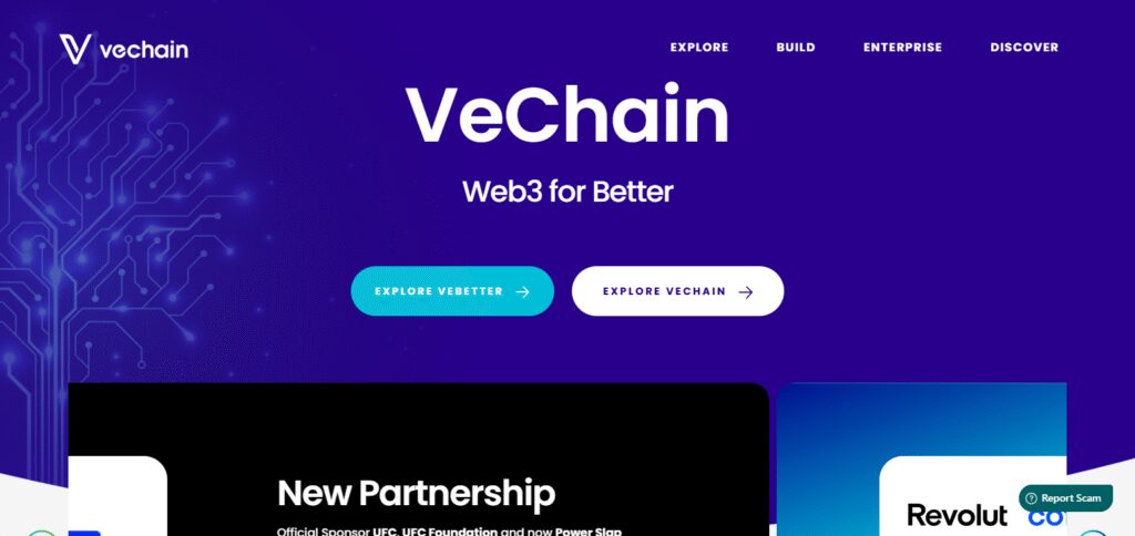 VeChain 