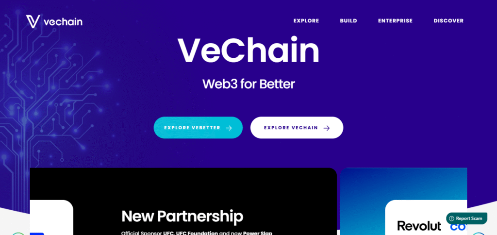VeChain 