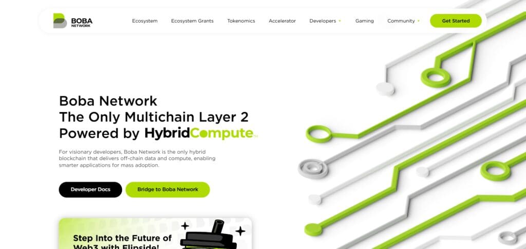 10 Best Rollup Coins By Market Cap 10 Boba Network (BOBA)