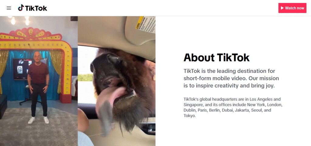 About TikTok Trends 