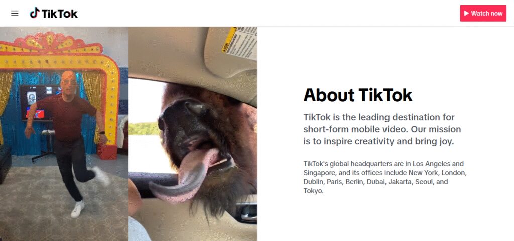 About Brand Collaborations TikTok