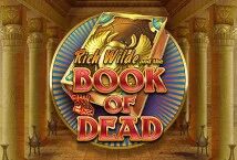 Book of Dead (Slot)
