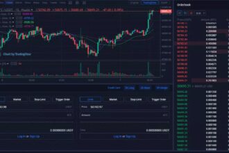 Difference Between Bridging and Exchanging on a DEX