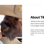 How To Create TikTok Ads for Brand Awareness: A Step-by-Step Guide