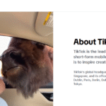 How To Create TikTok Ads for Brand Awareness: A Step-by-Step Guide