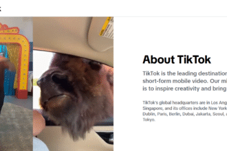 How To Create TikTok Ads for Brand Awareness: A Step-by-Step Guide