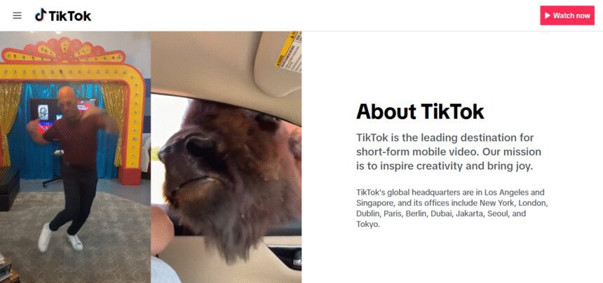 How To Create TikTok Ads for Brand Awareness: A Step-by-Step Guide