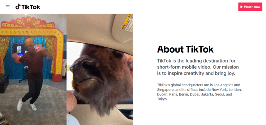 How To Create TikTok Ads for Brand Awareness: A Step-by-Step Guide