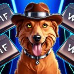 10 Best Dogwifhat (WIF) Wallets in 2025