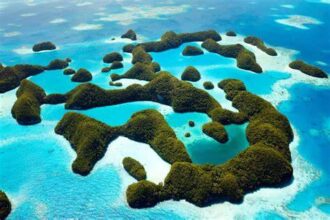 10 Best Crypto Exchanges in Micronesia for Secure & Easy Trading