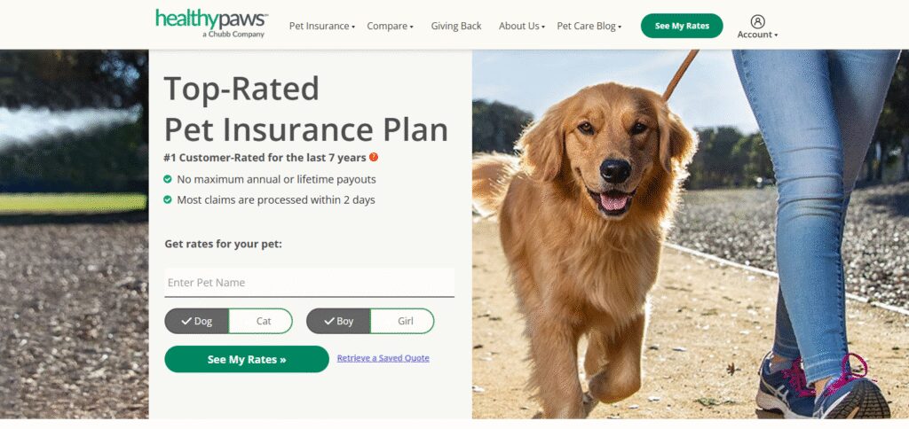 Healthy Paws  