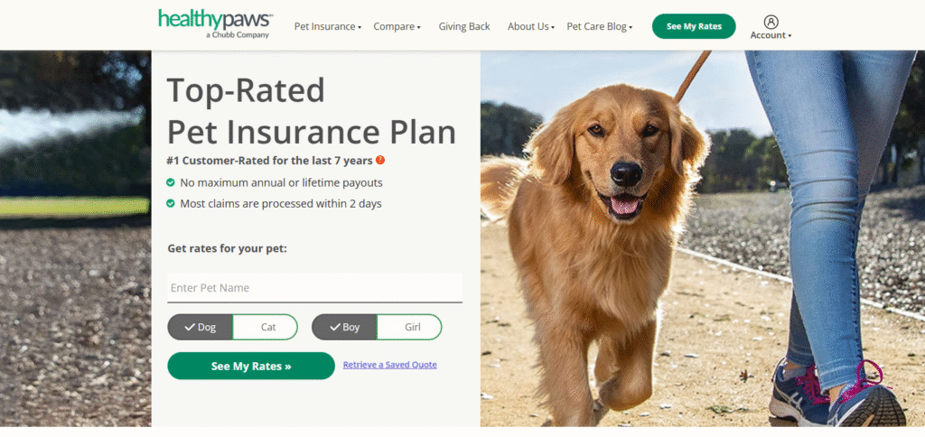 Healthy Paws  