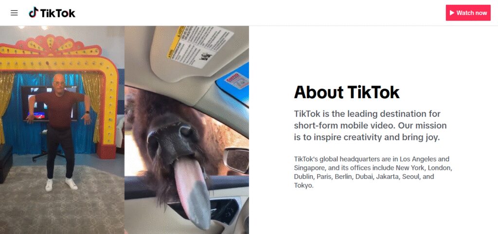 What Is TikTok Crypto Creators