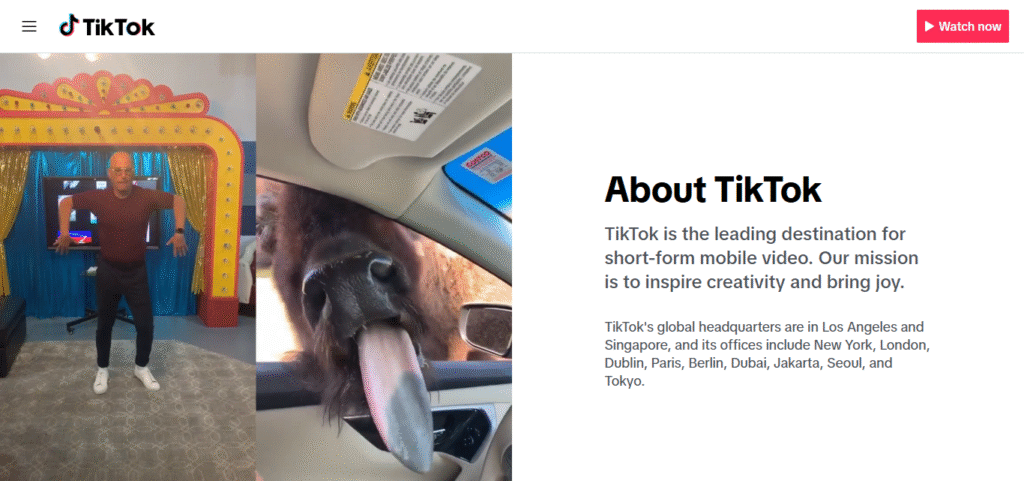 What Is TikTok Crypto Creators