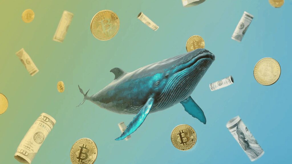 What is Crypto Whales ?
