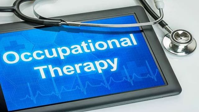 Occupational Therapy Committee