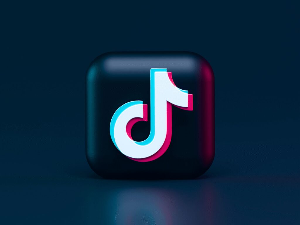 How To Partner With Tiktok Influencers Effectively 2 Understanding TikTok Influencers